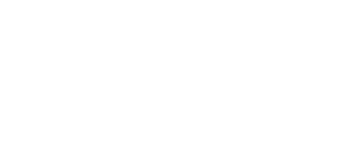 logo Microsoft Partner